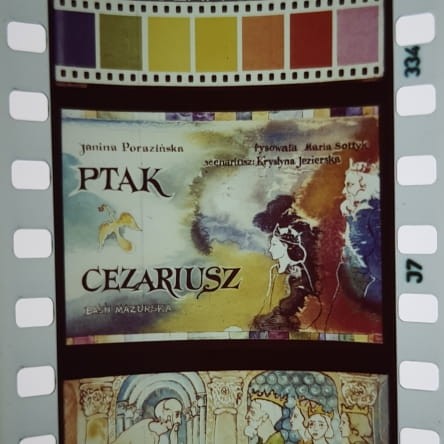 Ptak Cezariusz 20230423_182033.jpg