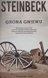 Steinback - Grona gniewu