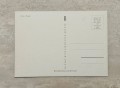 20230815-114348-015.jpg