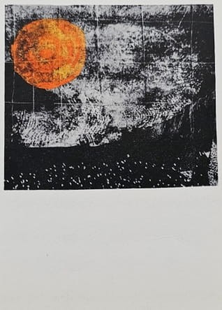 20230815-115055-019.jpg
