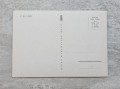20230815-191059-030.jpg