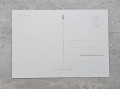 20230815-191157-023.jpg