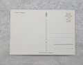 20230815-191418-091.jpg