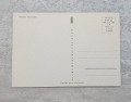 20230815-191441-044.jpg