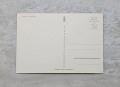 20230815-191519-104.jpg