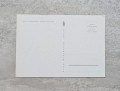 20230815-191716-096.jpg