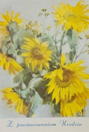 20230821-164736-007.jpg