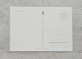 20230912-130109-039.jpg