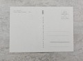 20231219-162658-18.jpg