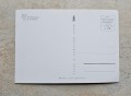 20240224_141117(0).jpg