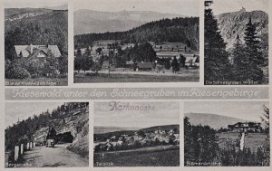 Pocztówka Karkonosze - Kiesewald unter den Schneegruben im Riesengebirge