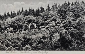 Pocztówka Kudowa Zdrój - Bad Kudowa - Liebeslaube auf dem Schlossberg