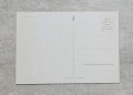 20240415-164711-15.jpg