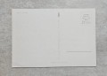 20240415-164730-21.jpg