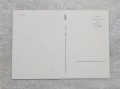 20240415-165114.jpg