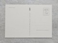 20240415-165209.jpg