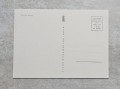 20240415-165228.jpg