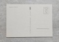 20240415-165347-09.jpg