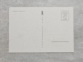20240415-165411-15.jpg