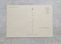 20240415-165605-27.jpg