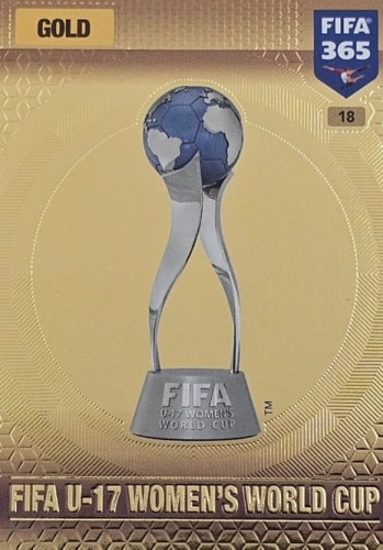20240923-191848-20.jpg