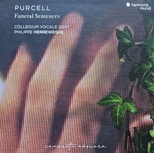 20250503_090246.jpg