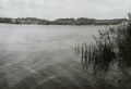 20170916_091633.jpg