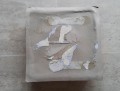 20180429_165106.jpg
