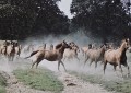 20250605_105248.jpg