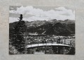 20250623_092028.jpg