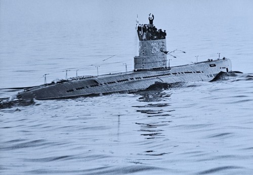 20250920_151144.jpg