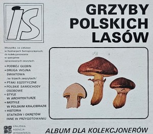 IS Ilustracje Samoprzylepne - Grzyby polskich lasów - komplet naklejek