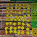 20161008_150920.jpg