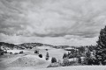 20260519_174149.jpg