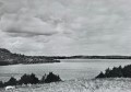 20260519_174511.jpg