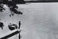 20260519_174630.jpg