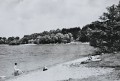 20260519_174652.jpg