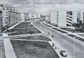 20260519_175021.jpg