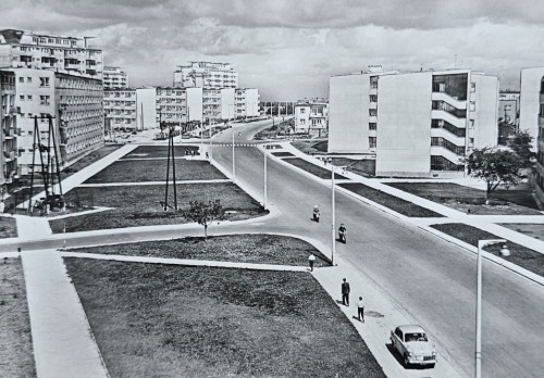 20260519_175021.jpg