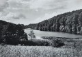 20260519_175116.jpg