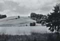 20260519_175132.jpg