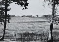 20260519_175357.jpg