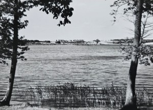 Pocztówka - Padniewko - Jezioro - fot. K. Jabłoński