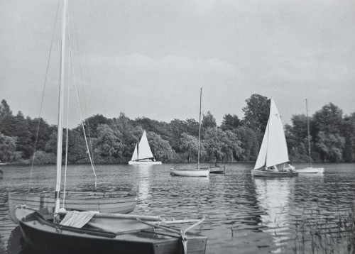 20260519_175410.jpg