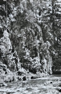 Pocztówka - Rzeka Kamienica w okolicach Barcinka - fot. J. Korpal