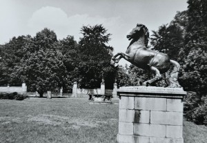 Pocztówka - Milicz - Fragment parku pałacowego - fot. J. Korpal