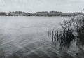 20260519_175435.jpg