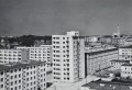 20260901_102747.jpg