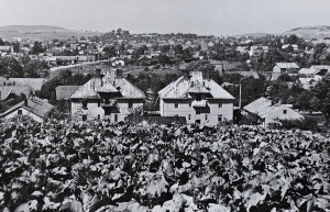 Pocztówka - Sanok - Widok ze Szklanej Góry - fot. J. Jastrzębski