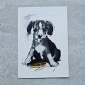 20260929_111048.jpg